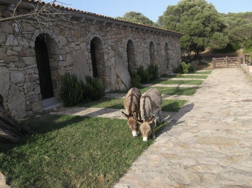 B&B L' Incantu Santa Teresa Gallura Exterior photo